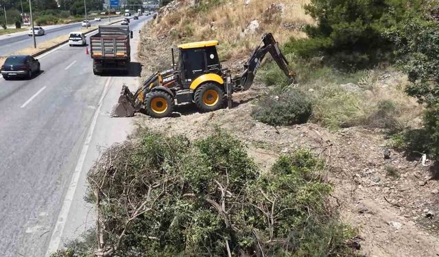 Aydın Orman İşletme'den yangınlara karşı yol kenarı temizliği