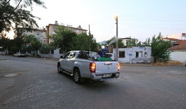 Aydın'da CHP'li 10 belediye ilaçlama çalışmaları başlattı
