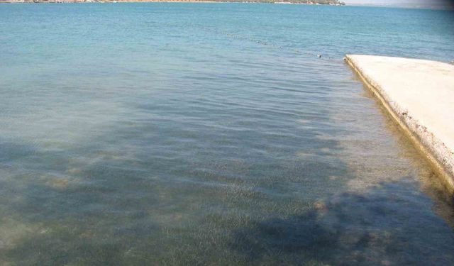 Didim'in deniz suyu kalitesi dikkat çekti