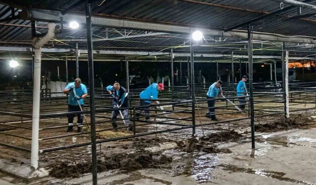 Efeler'de bayram sonrası kapsamlı temizlik seferberliği