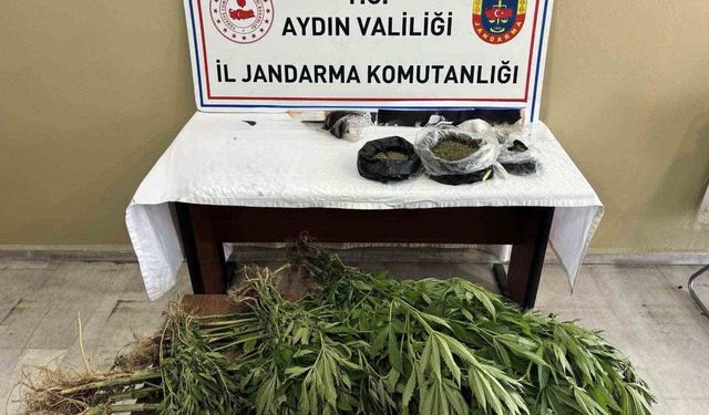Efeler'de yasaklı madde operasyonu