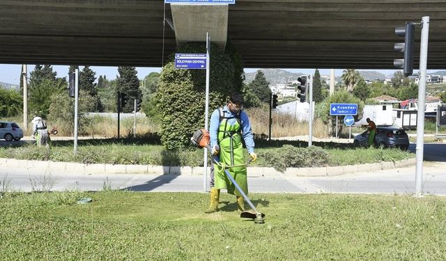 Kuşadası'nda yeşil alanlar bakıma alındı