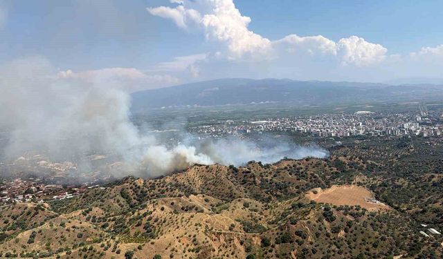 Nazilli'de zirai alan yangını