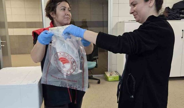 Söke'de ihraç edilecek su ürünlerine sıkı denetim