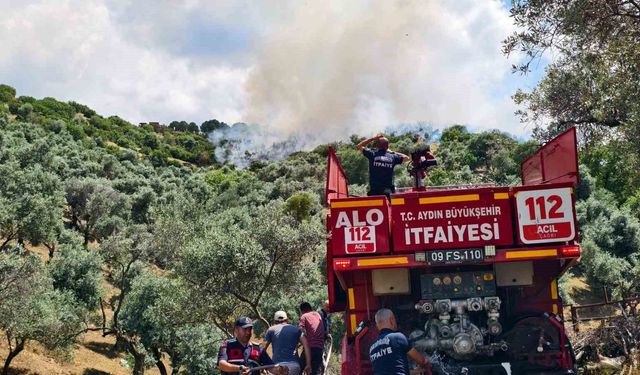 Yenipazar'daki makilik yangını kontrol altına alındı