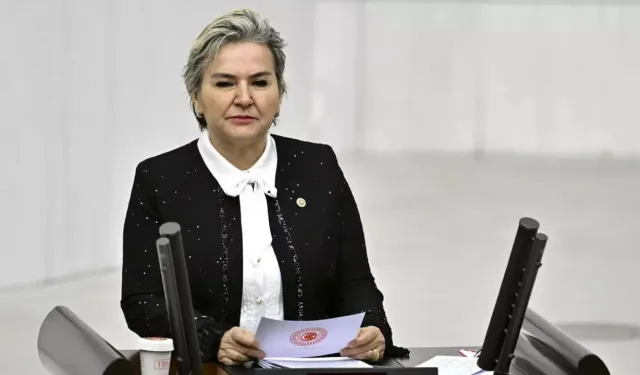 İstanbul Milletvekili Nimet Özdemir, CHP'den istifa etti
