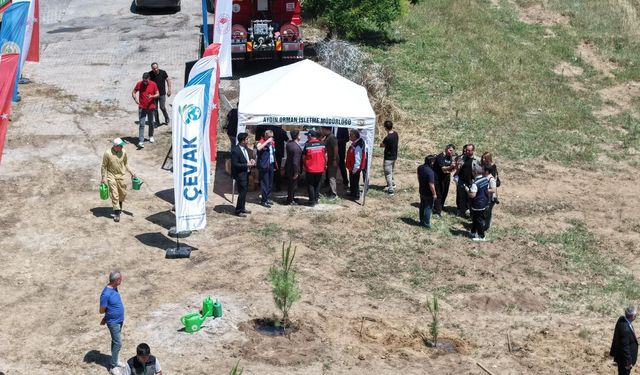 Aydın'da 100 fidan toprakla buluştu