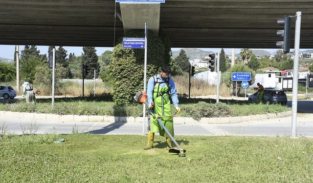 Kuşadası Belediyesi'nden Yeşil Dokuya titiz dokunuş