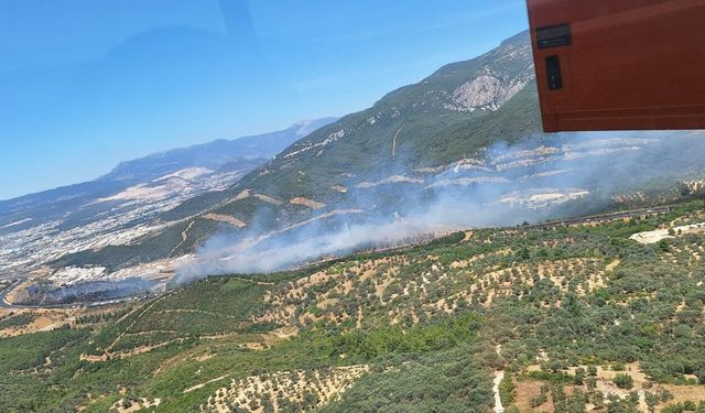 İzmir Buca'daki yangın kontrol altına alındı