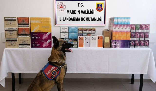 Mardin’de kaçakçılık operasyonu: 2 milyon lira değerinde kaçak tütün ele geçirildi!