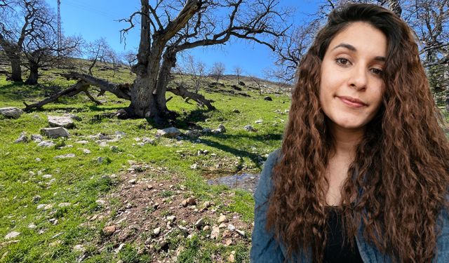 Son dakika! Gülistan Doku soruşturmasında 15 şüpheli gözaltına alındı
