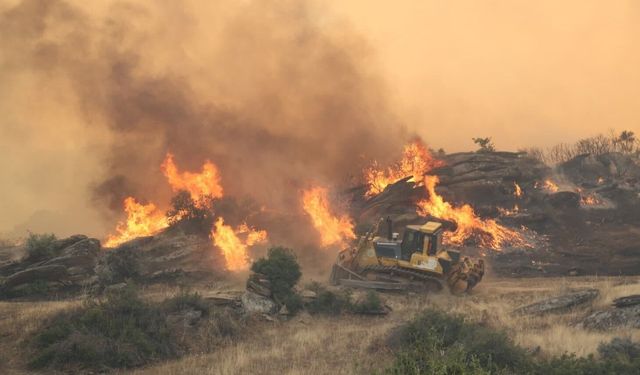 Bozdoğan'da alevler rüzgarla ilerliyor, evler tahliye edilecek