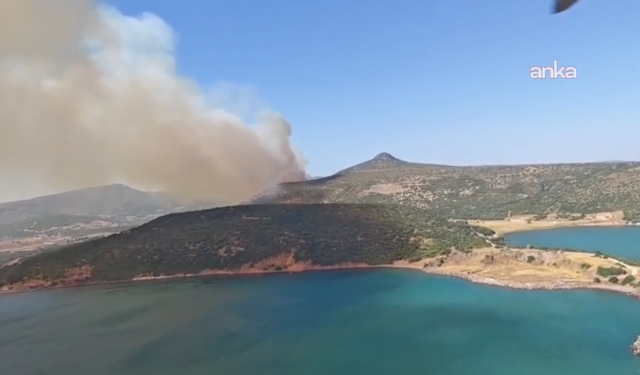 Foça’da yangına havadan ve karadan müdahale ediliyor