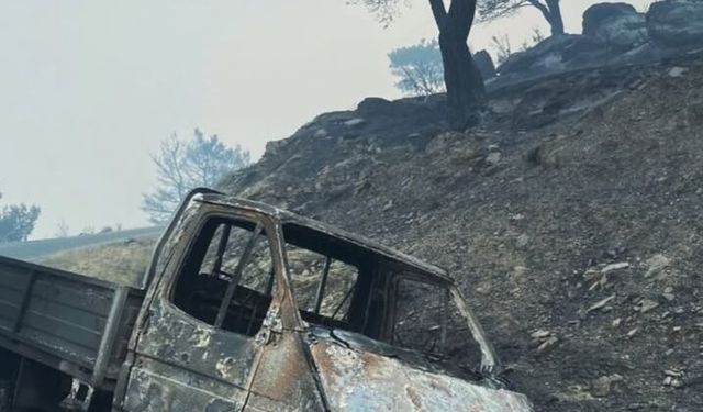 Çine'deki yangının ardından geriye kalan acı tablo!