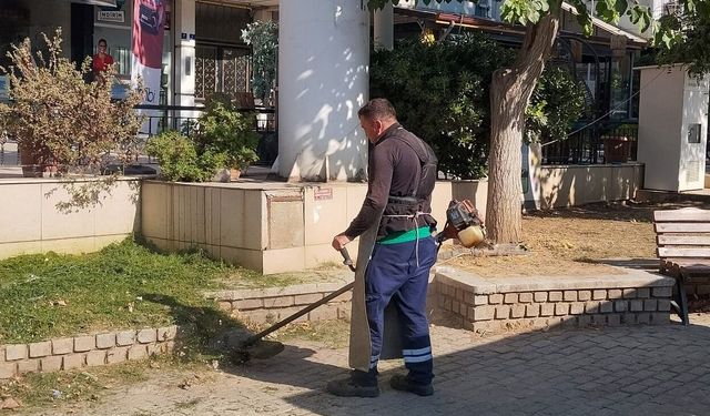 Efeler Belediyesinden kesintisiz çevre mesaisi
