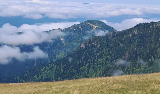 Artvin Murgul'da planlanan madencilik faaliyetlerine tepki: "Parasız yaşanır ama doğasız yaşanmaz"
