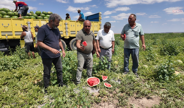 Karpuz üreticisi: “Çiftçiliğin sürdürebilir bir tarafı kalmamış”