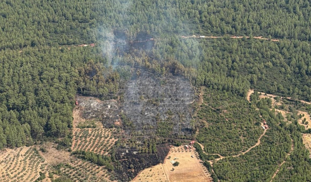 Muğla’daki orman yangını kontrol altına alındı