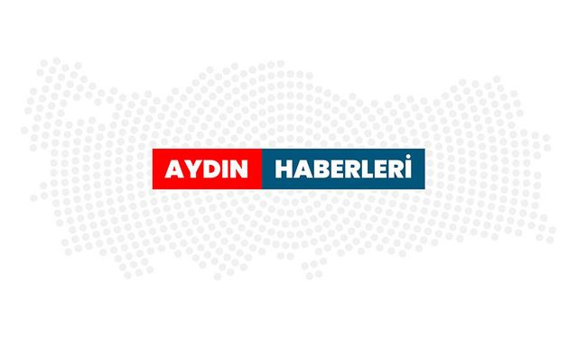 Nazilli’de Ceviz Toplarken Ağaçtan Düştü! 73 Yaşındaki Kadın Yaralandı