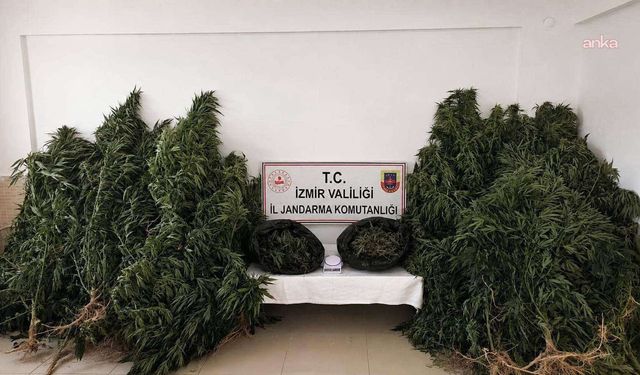 İzmir'de operasyon: 13 kilo 400 gram esrar ele geçirildi
