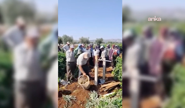 Üzüm fiyatına ilginç protesto: Bağlarda sela okuyup dua ettiler