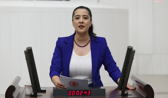 EMEP'li Karaca, 16 yaşındaki çocuk işçinin ölümünü Bakan Işıkhan'a sordu