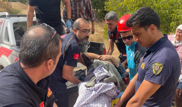 Nazilli’de ceviz ağacından düşen yaşlı adam yaralandı