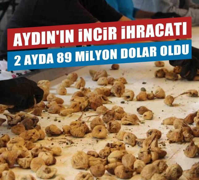 Aydın'ın incir ihracatı 2 ayda 89 milyon dolar oldu