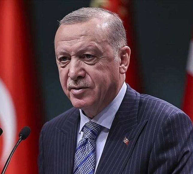 Erdoğan'dan İYİ Parti'nin seçimlere tek başına girme kararıyla ilgili ilk yorum