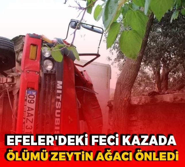 Efeler'deki feci kazada ölümü zeytin ağacı önledi