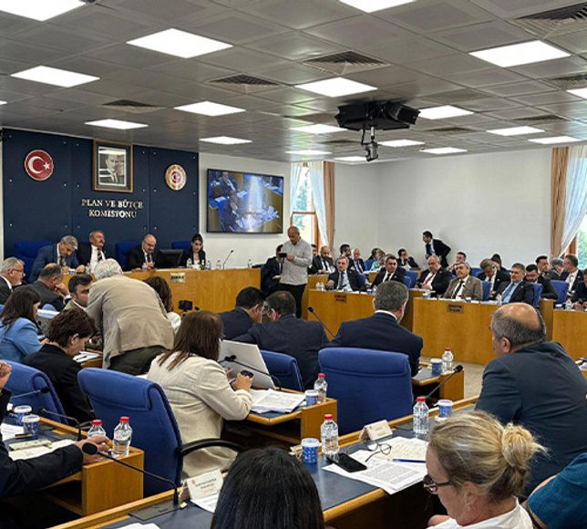 Tartışmalı 'zeytinlik' maddesi, TBMM Sanayi Komisyonu'nda kabul edildi