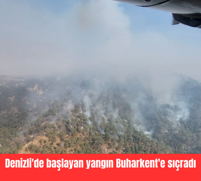 Denizli'de başlayan yangın Buharkent'e sıçradı