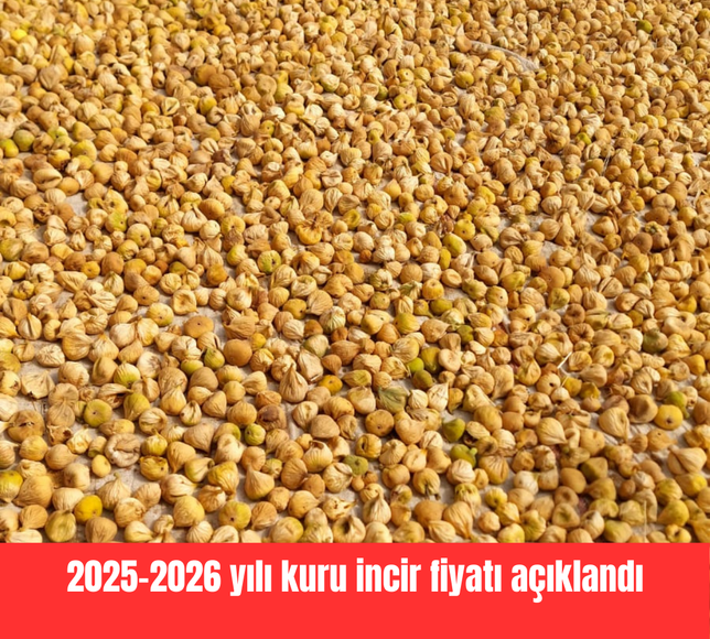 2025-2026 yılı kuru incir fiyatı açıklandı