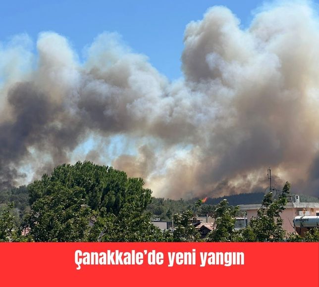 Çanakkale’de yeni yangın