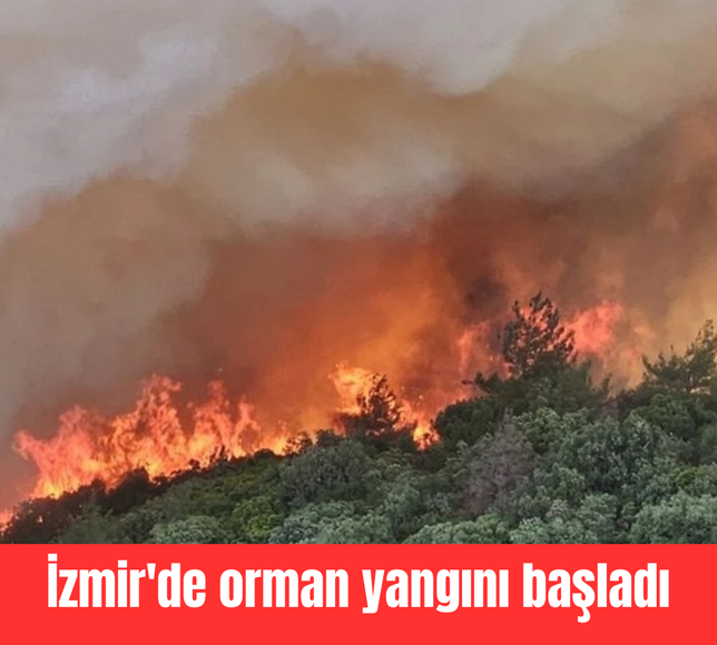 İzmir'de orman yangını başladı