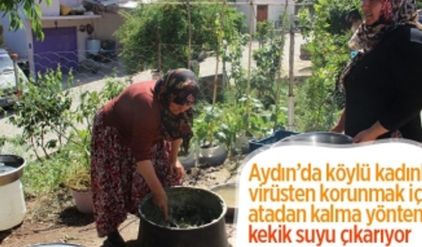 Aydın’da köylü kadınlar virüsten korunmak için atadan kalma yöntemle kekik suyu çıkarıyor