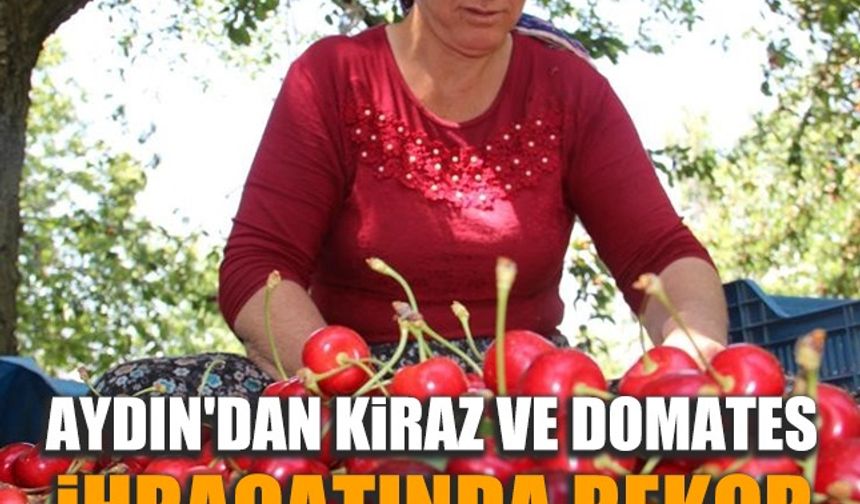 Olumsuz iklim şartlarına rağmen Aydın'dan kiraz ve domates ihracatında rekor