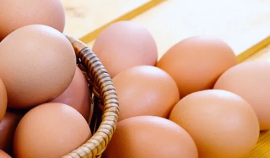 Bir İnsan Sürekli Yumurta Yerse Ne Olur?