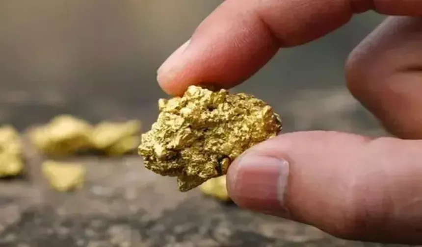 İnsanlık Tarihinin En Büyüğü Oldu: 26 Ton Altın Bulundu