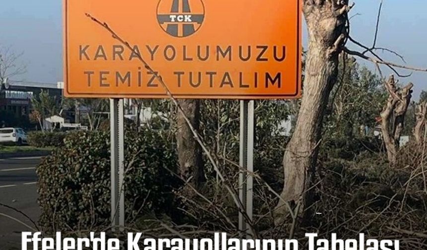 Efeler'de Karayollarının Tabelası Vatandaşları Hayrete Düşürüyor