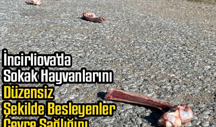 İncirliova'da Sokak Hayvanlarını Düzensiz Şekilde Besleyenler Çevre Sağlığını Tehlikeye Atıyor
