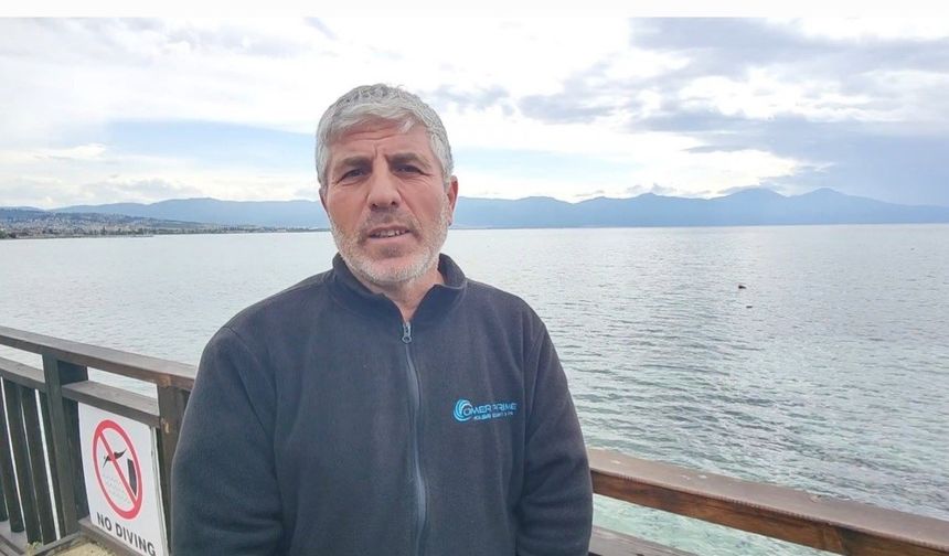 Denizden yüzerek çıkan yaban domuzu şaşırttı