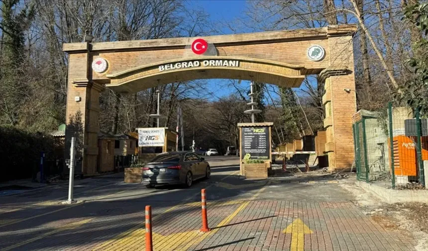(km²) İstanbul'un akciğerleri olarak biliniyor: Belgrad Ormanı büyüklüğü kaç metrekare?