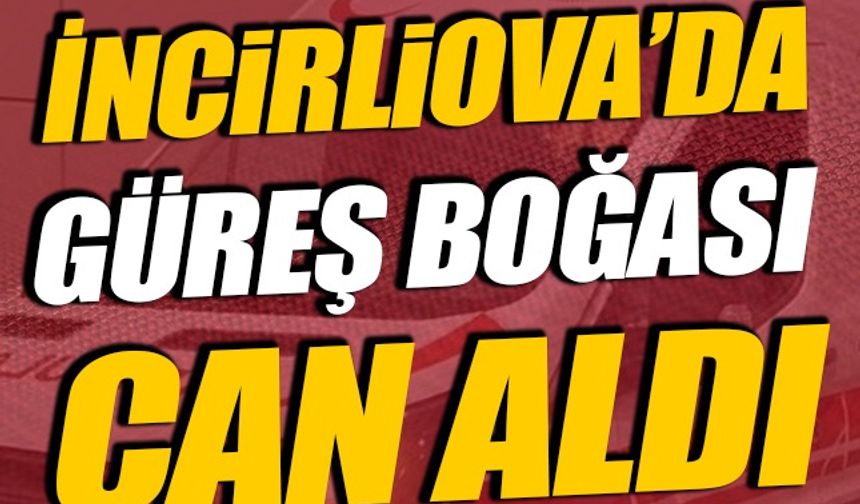 İncirliova’da Güreş Boğası Can Aldı