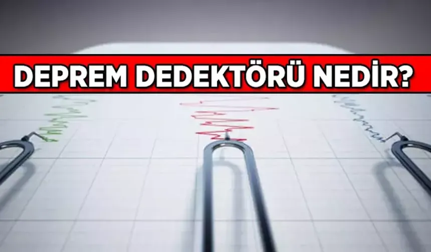 Deprem Dedektörü Nedir? Deprem Sensörü Ne İşe Yarar?