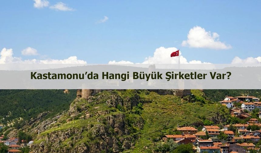Kastamonu’da hangi büyük şirketler var?