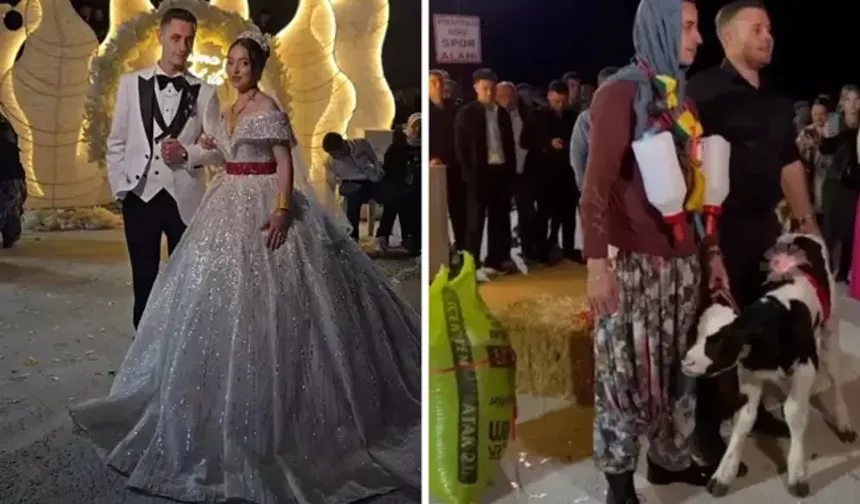 DAMAT ŞOKTA! Düğünde TAKILANLAR DUDAK UÇUKLATTI! Köy Düğününde AKIL ALMAZ ANLAR!