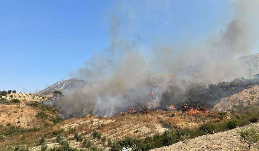 Balıkesir Marmara'da yangın alarmı