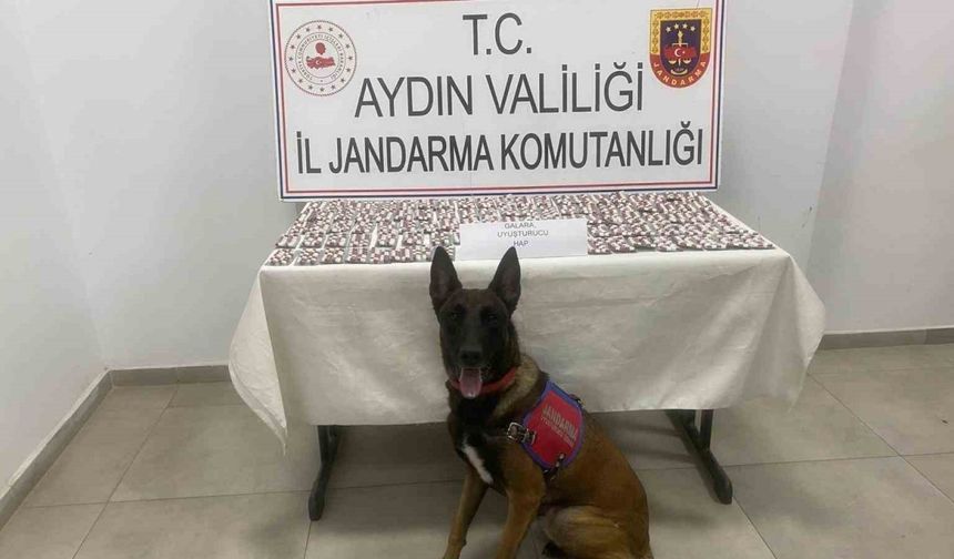 Aydın’da jandarmadan uyuşturucu operasyonu: 3 gözaltı