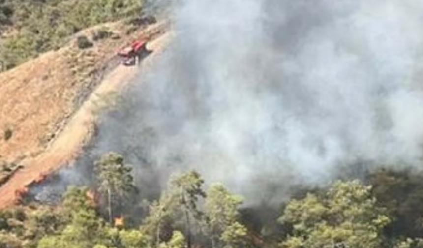 Fethiye’de orman yangını